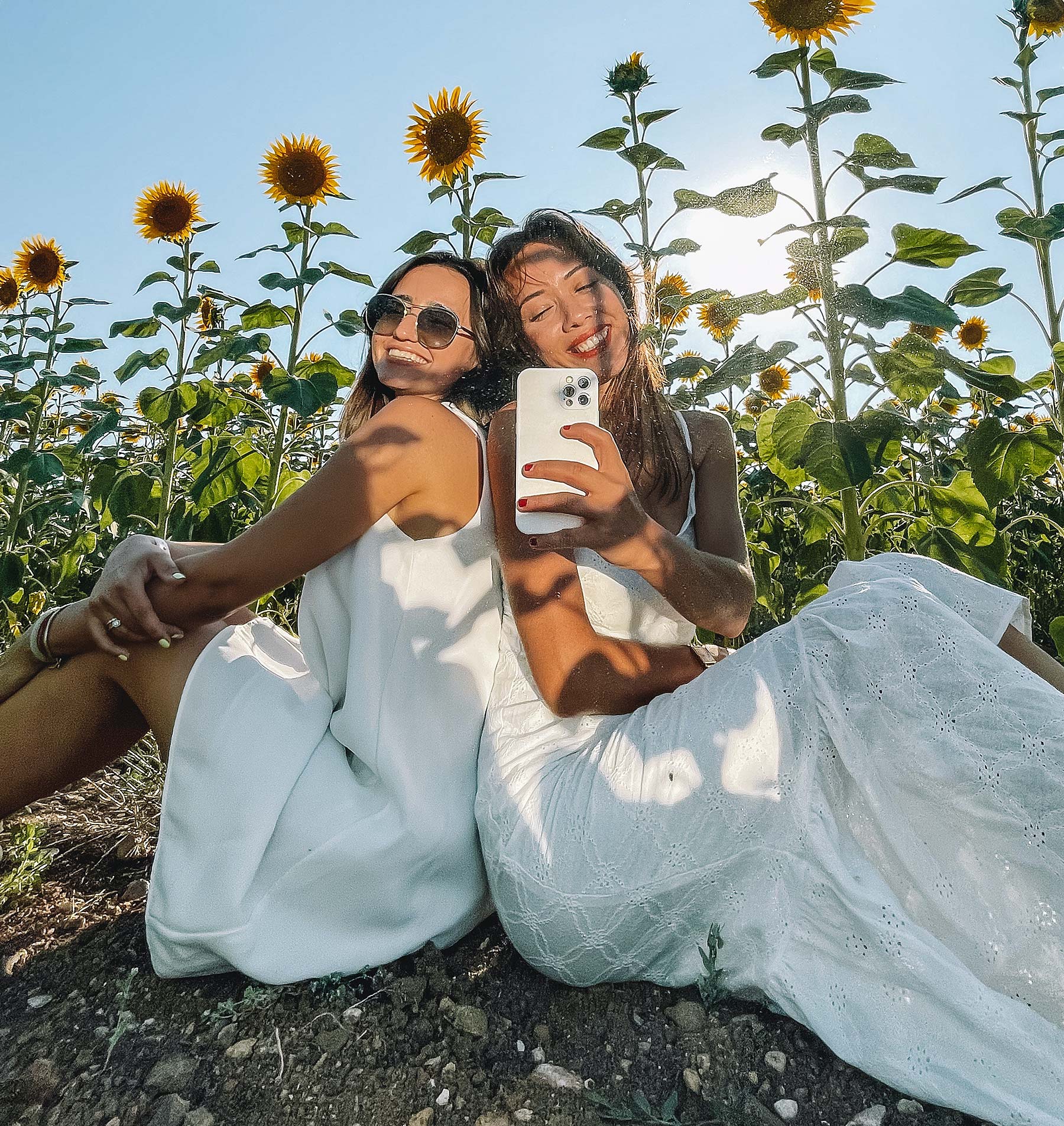 Take a selfie with the sunflowers